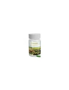 CONTRADOX 60 CAP...
