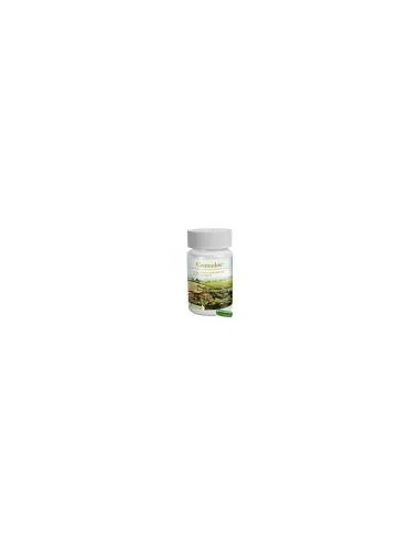 CONTRADOX 60 CAP MEDITERRANEAN SCIENCE