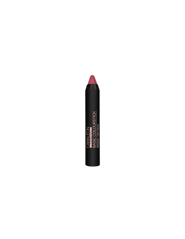 CAMALEON BASIC COLOURSTICK  1 UNIDAD...