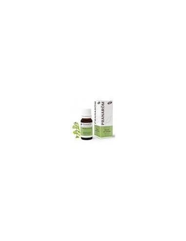 PRANAROM MENTA DE CAMPO ACEITE...