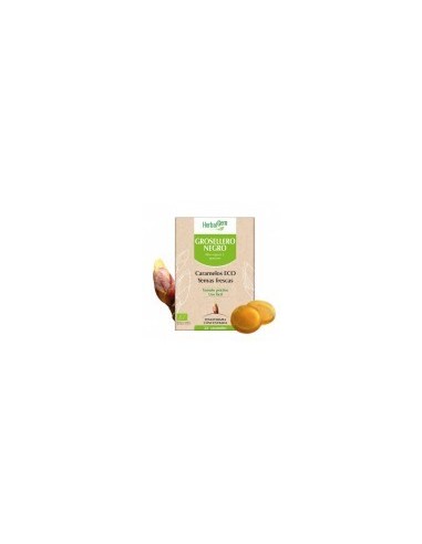 PRANAROM GROSELLERO NEGRO  24 CARAMELOS