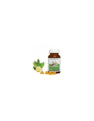 PRANAROM GOMINOLAS DEFENSAS JUNIOR 150G