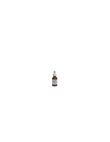 CG 41 VITAMINA A 2% 20ML