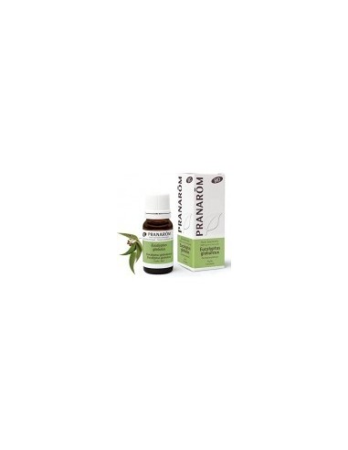 PRANAROM EUCALIPTO GLOBULUS HOJA 10 ML