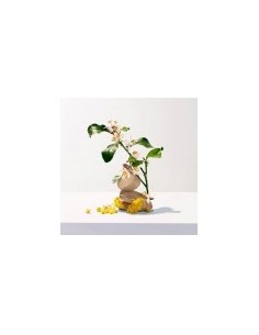ROGER & GALLET NEROLI JABON... 2
