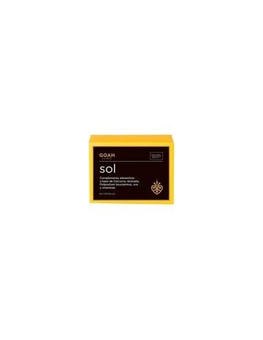 GOAH CLINIC SOL  60 CAPSULAS