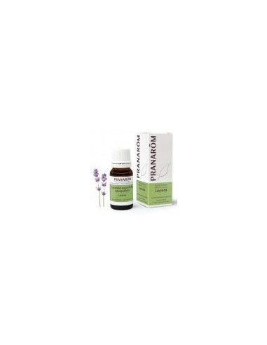 ACEITE ESENCIAL LAVANDA  1 ENVASE 10 ML