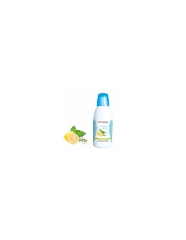 PRANAROM PRANADRAINE  1 ENVASE 500 ML
