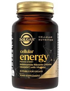 SOLGAR CELLULAR ENERGY  28...