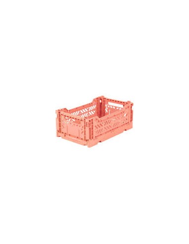 CAJA PLEGABLE MINI SALMON