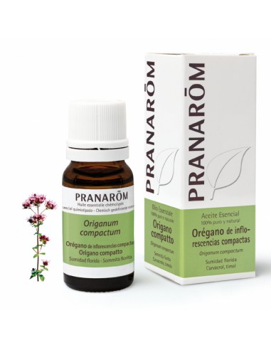 PRANAROM ACEITE ESENCIAL OREGANO