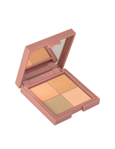 MIA PALETA CORRECTOR 0895